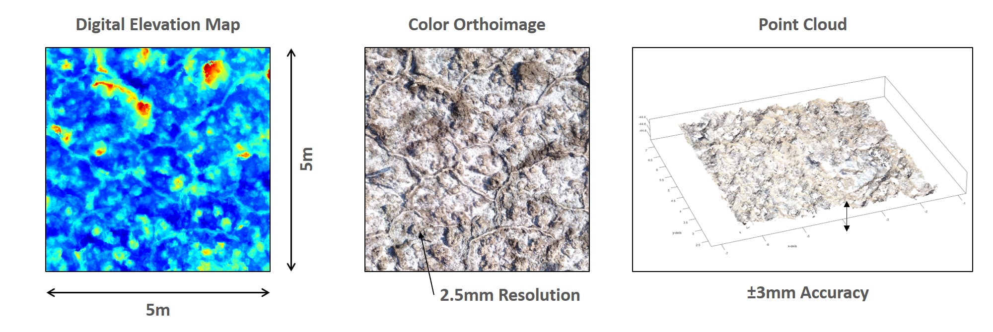 Preview of datatypes in dataset including digital elevation map, color orthoimage, and point cloud.